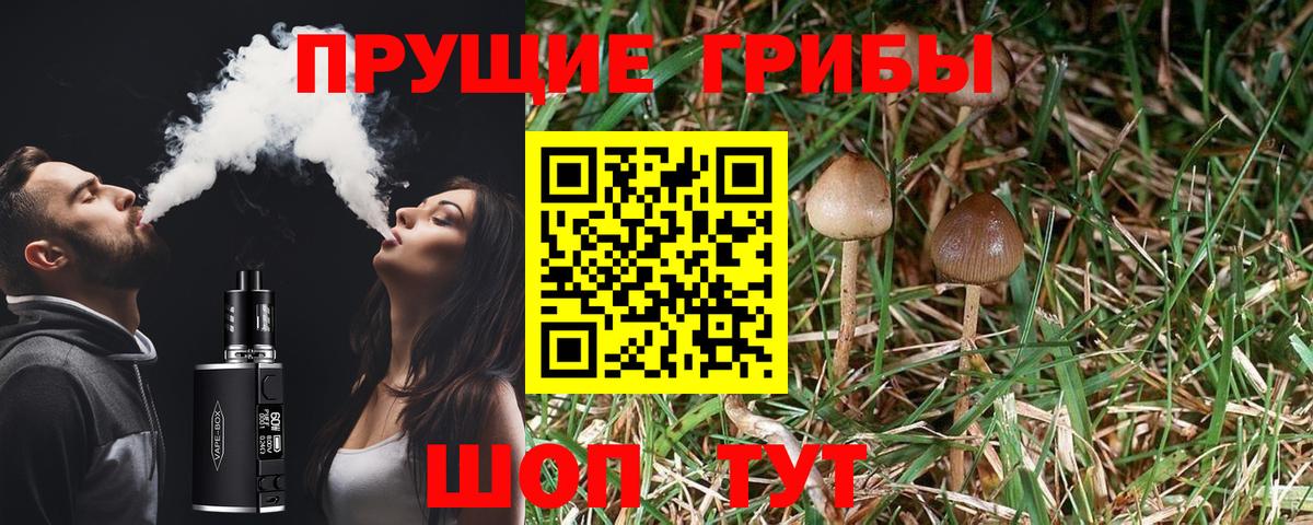 Галлюциногенные грибы мицелий Ржев