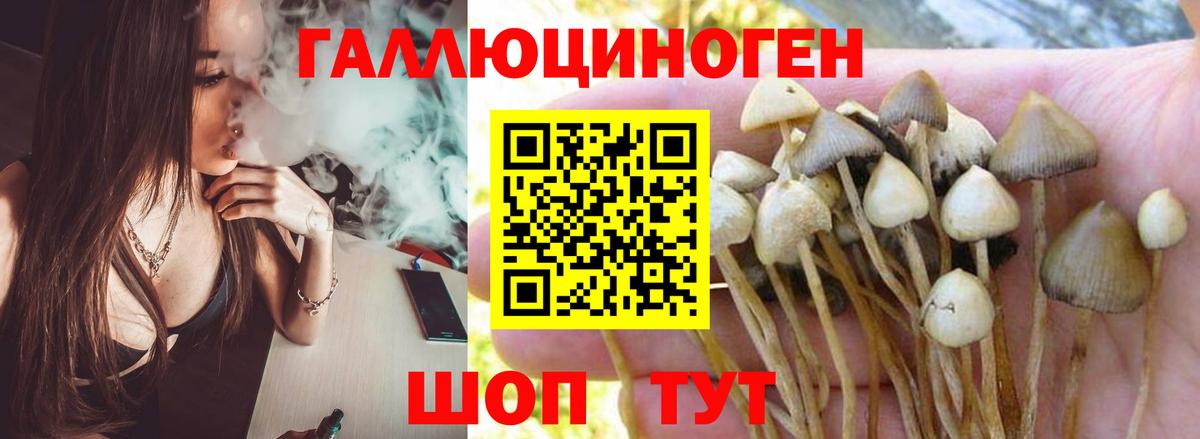 купить закладку  Вход с VPN  Ржев  Псилоцибиновые грибы Magic Shrooms 